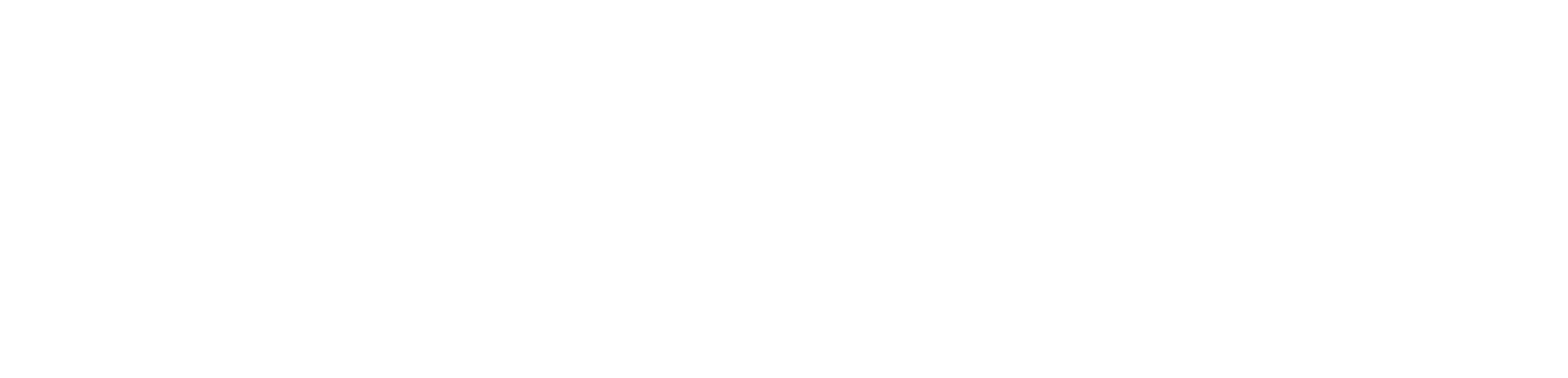 Attraction Insight