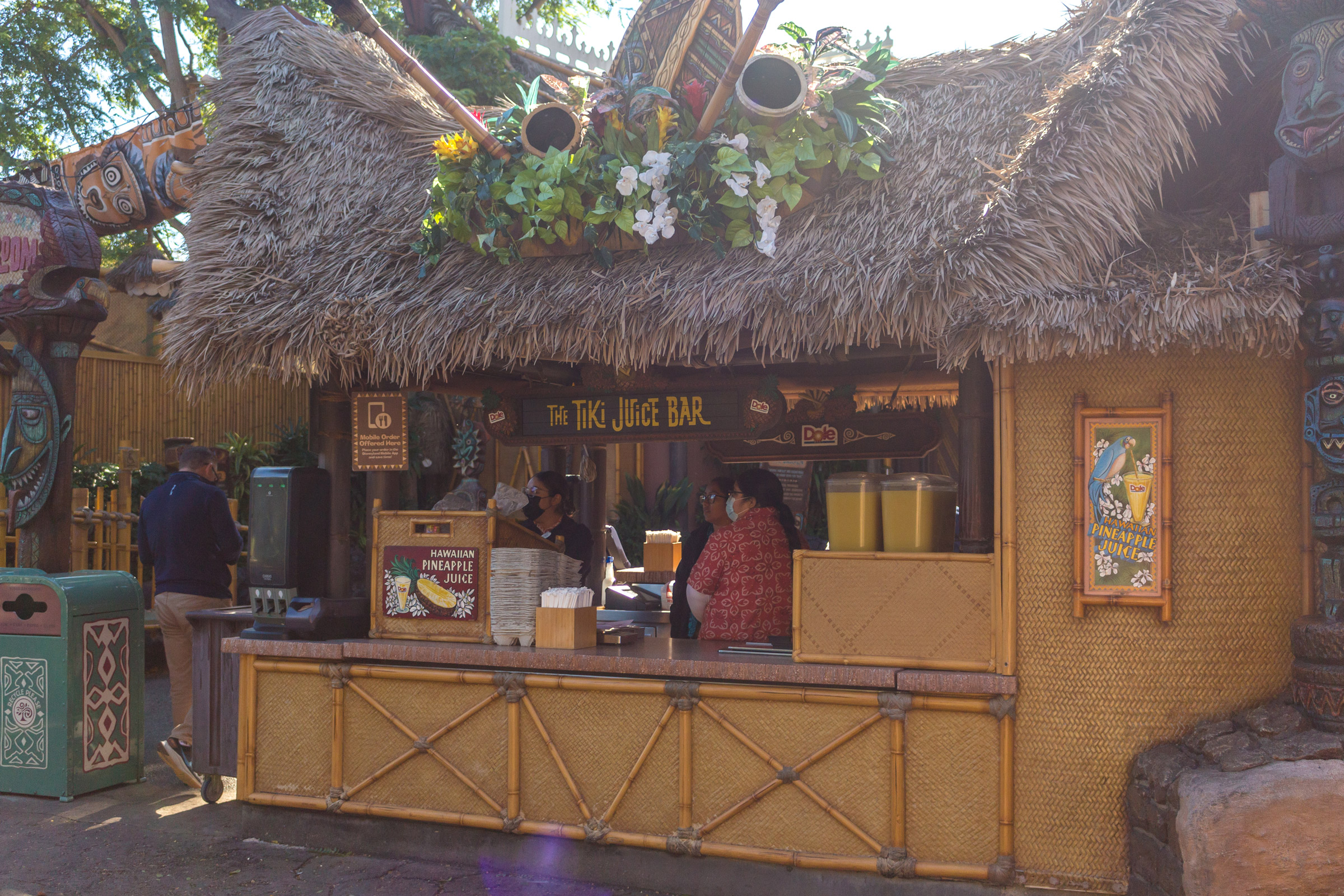 Tiki Juice Bar at Disneyland Resort Attraction Insight