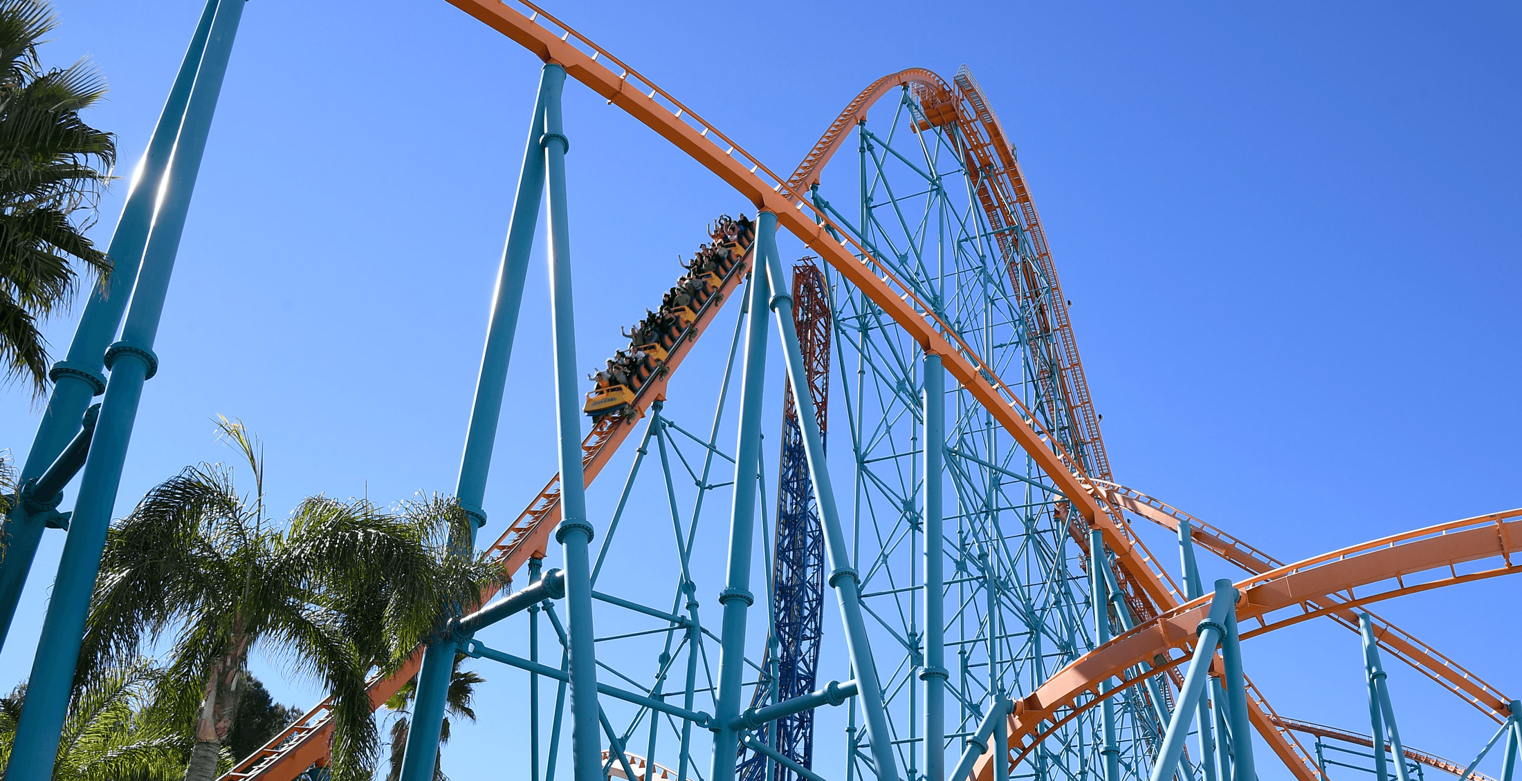 Six Flags Magic Mountain Attraction Insight