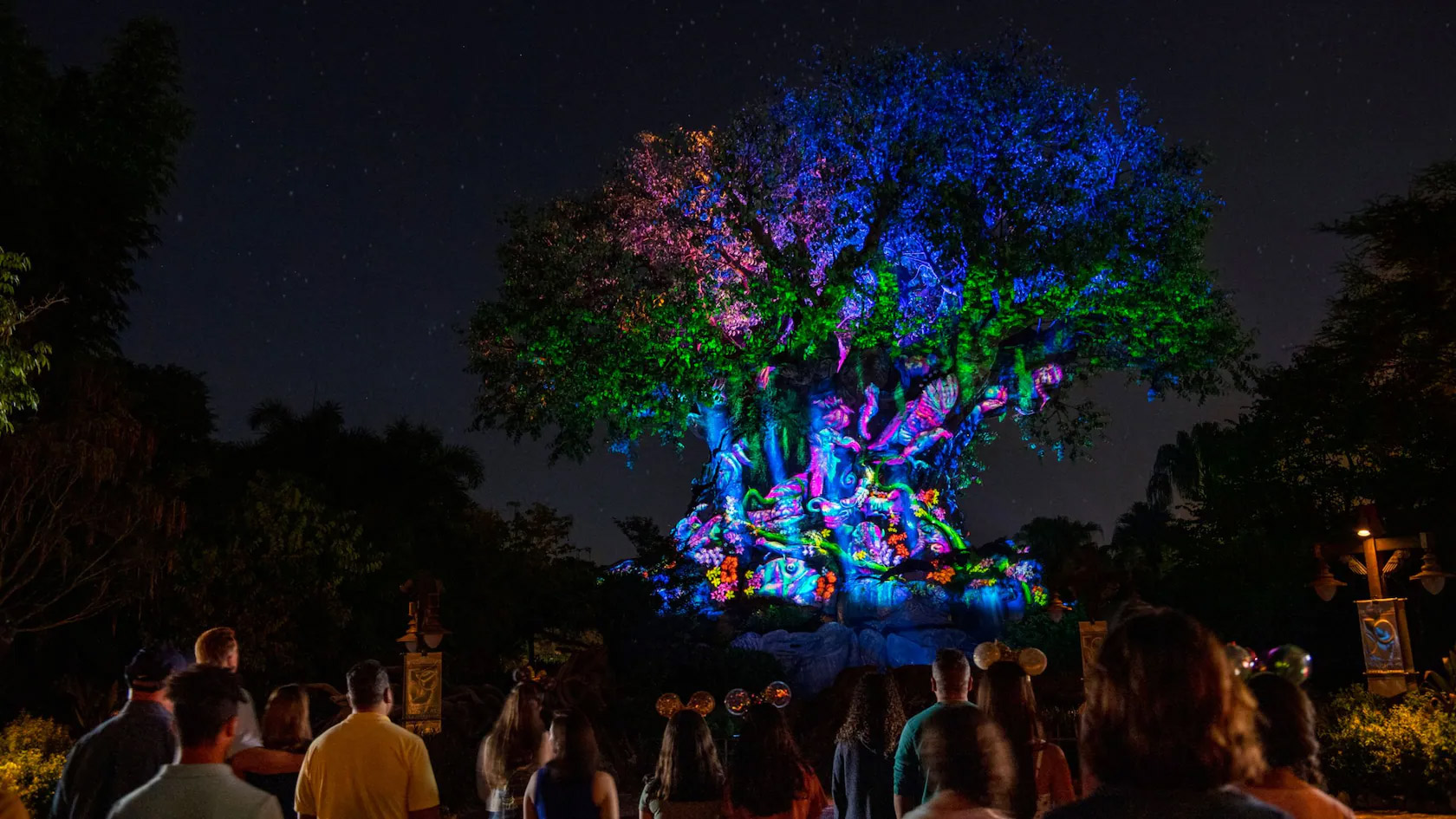 Tree Of Life Awakenings At Walt Disney World | Attraction Insight